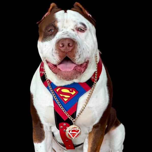 Bestia Superdog Leather Dog Harness