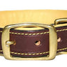 Havana Brown Deer Tan Collars and Leads