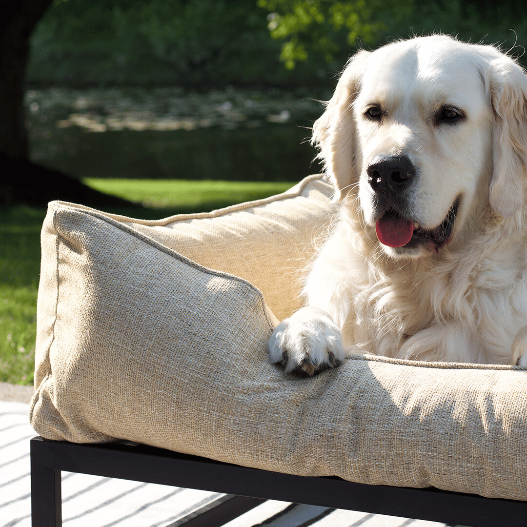 The FUZI Elevated Dog Bed