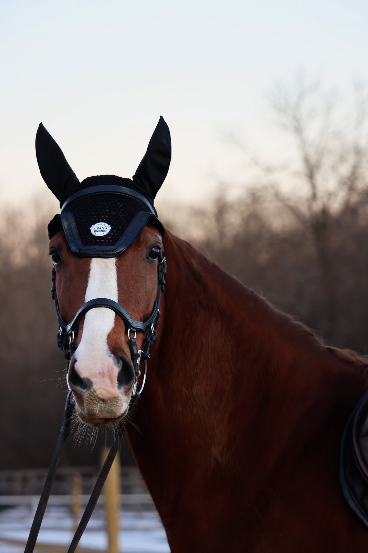 San Eligius Black Ice knit horse bonnet with black leather and glitter piping, close-up of knit and leather piping