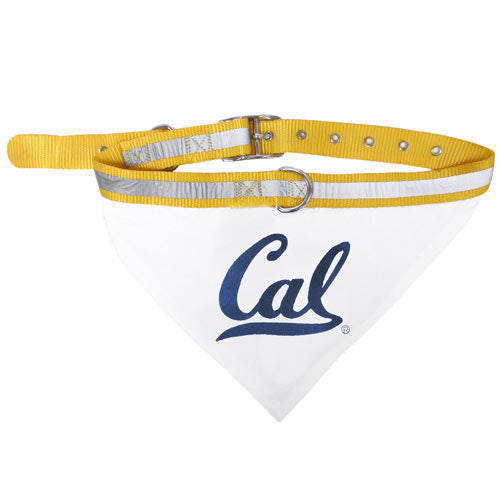 NCAA California Golden Bears Dog Collar Bandana