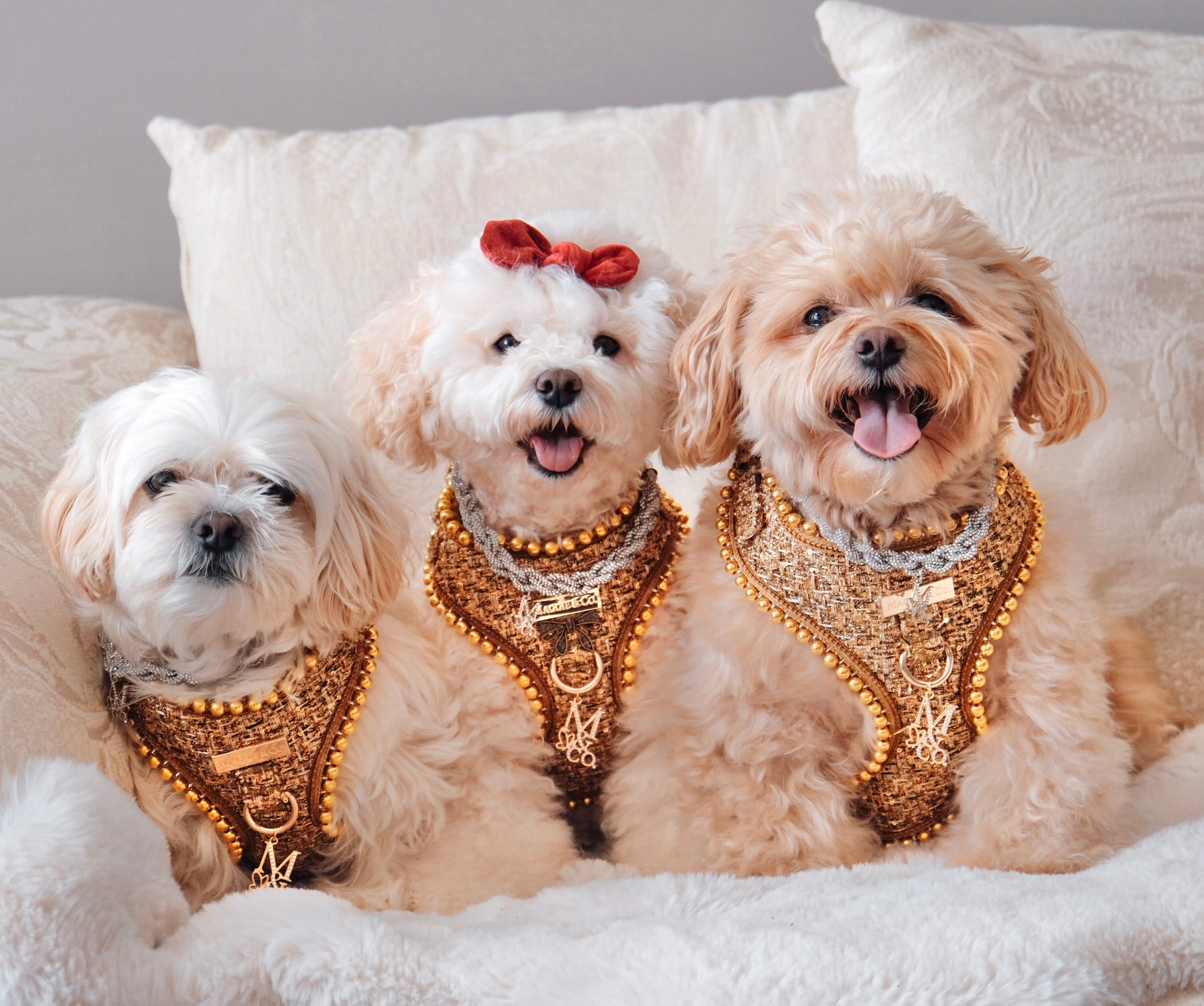 The Supermodel Necklace