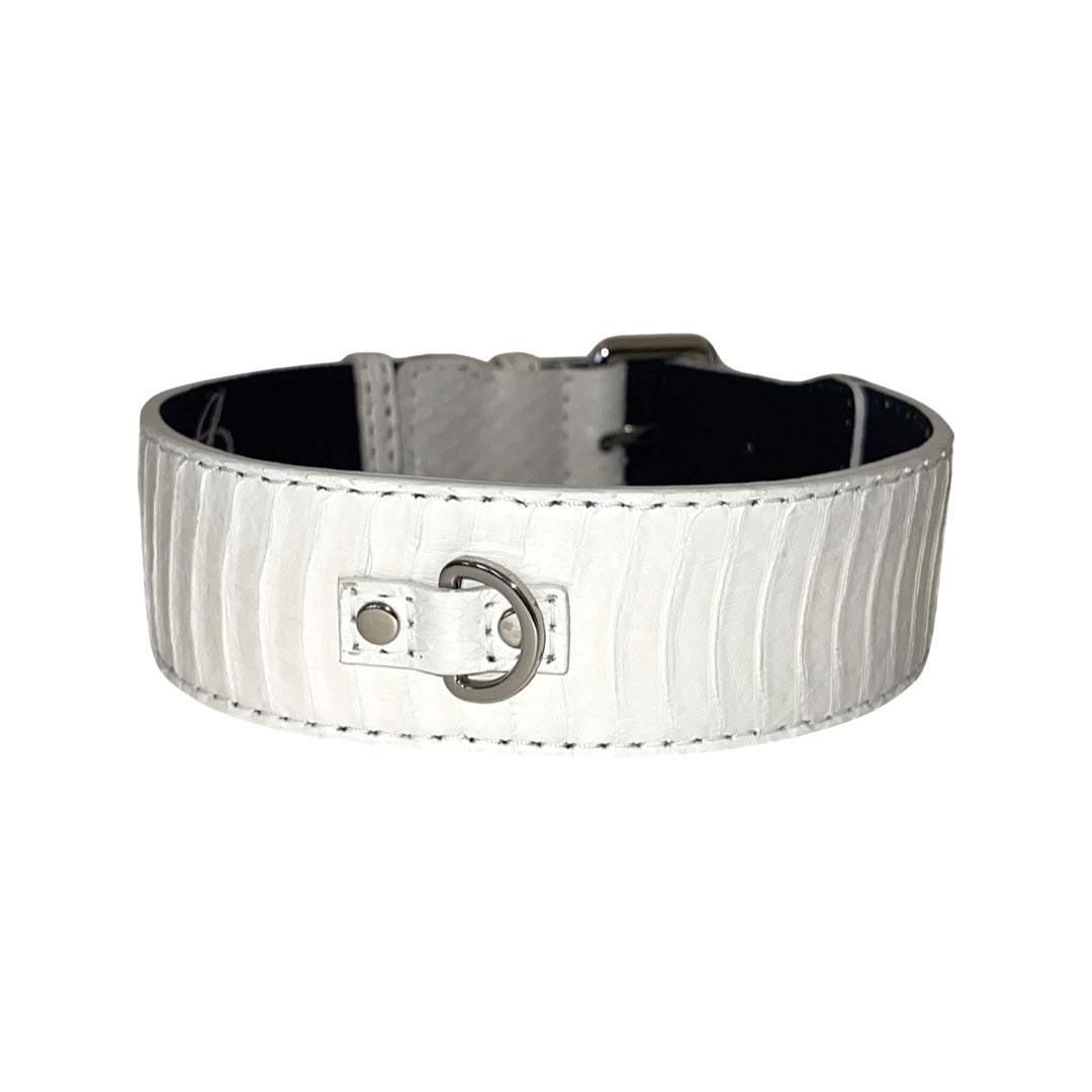 Allysa Payne Matte White Snake Classic Dog Collar With Silver Classic Hardware