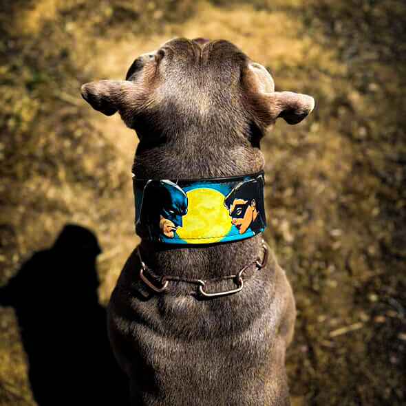 Bestia BCW Limited Edition Leather Dog Collar