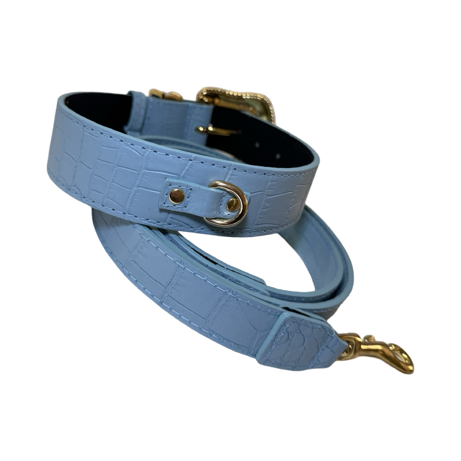 Allysa Payne La Jolla Dog Collar & Leash Set