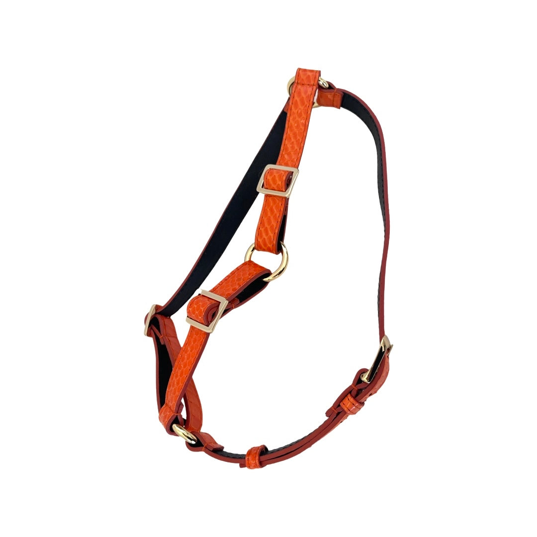 Allysa Payne Orange Snake Dog Harness