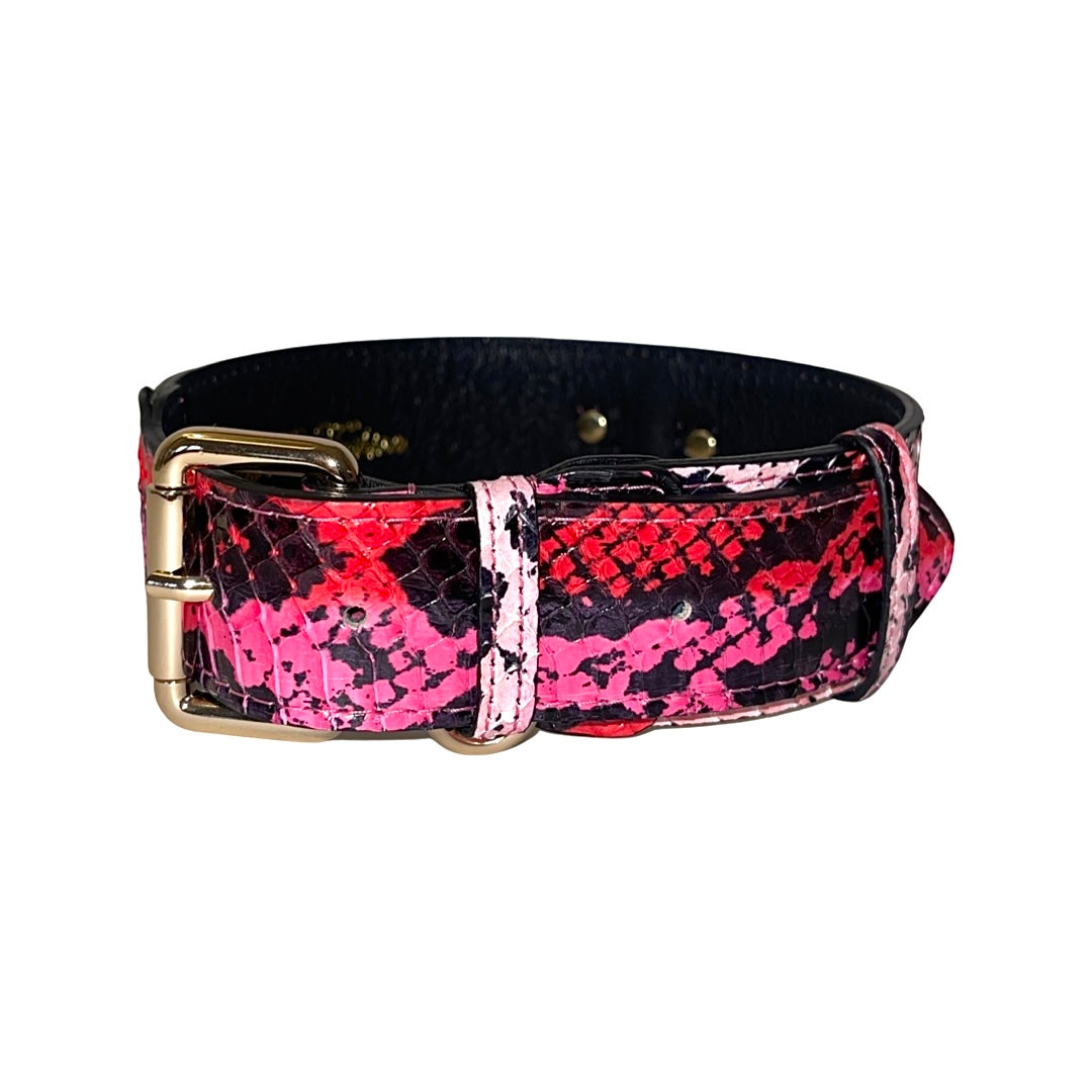 Allysa Payne Fuchsia/Light Pink/Red & Black Snake Classic Dog Collar