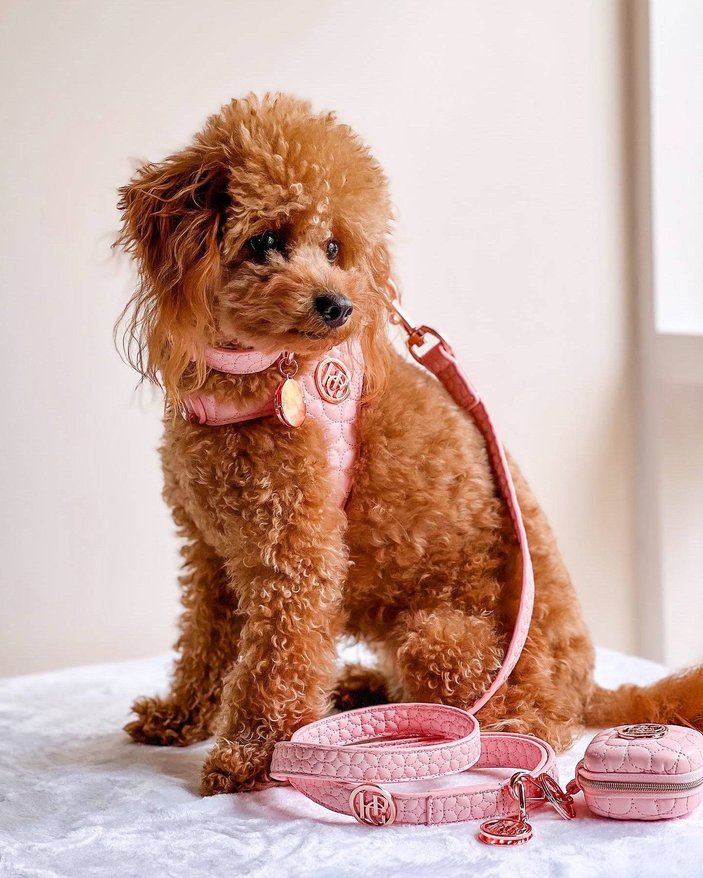 Novalie Kiss- Waste Bag/Treat Bag