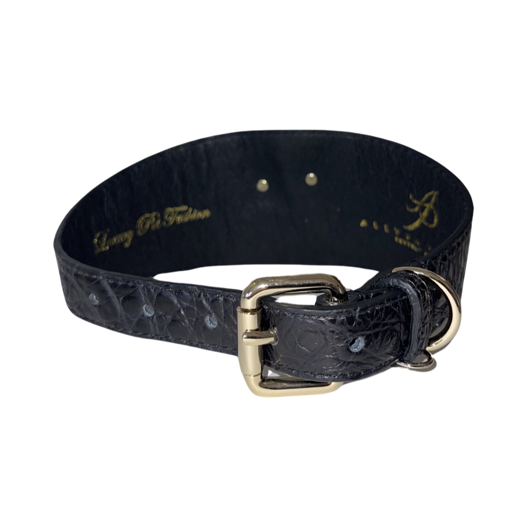 Allysa Payne The Prince Of Bel Air Poodle Dog Collar
