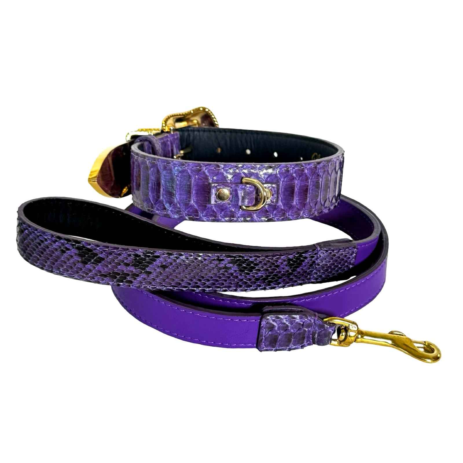 Allysa Payne Amethyst Royale Python Set Dog Collar