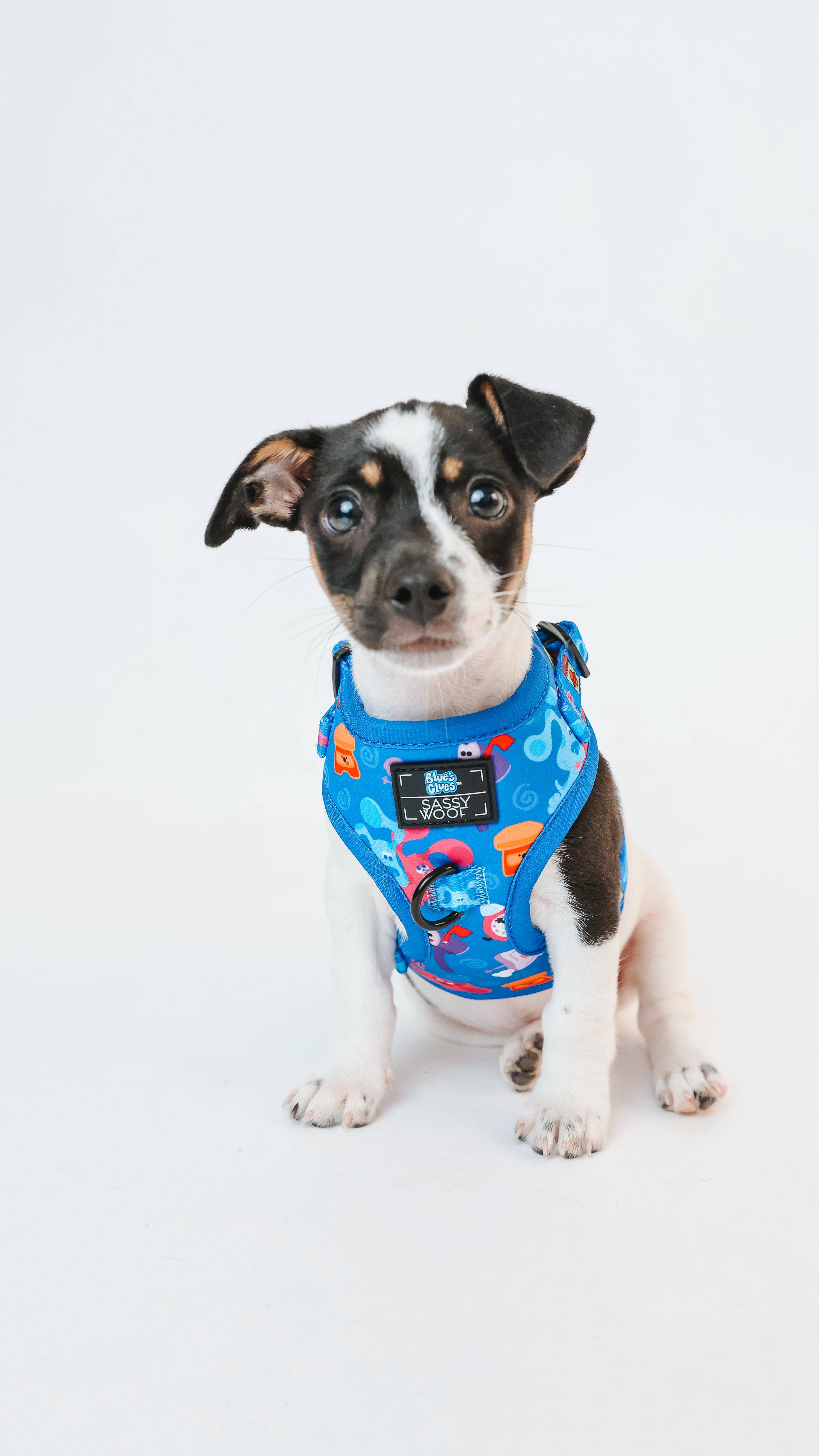 Dog Adjustable Harness - Blues Clues™