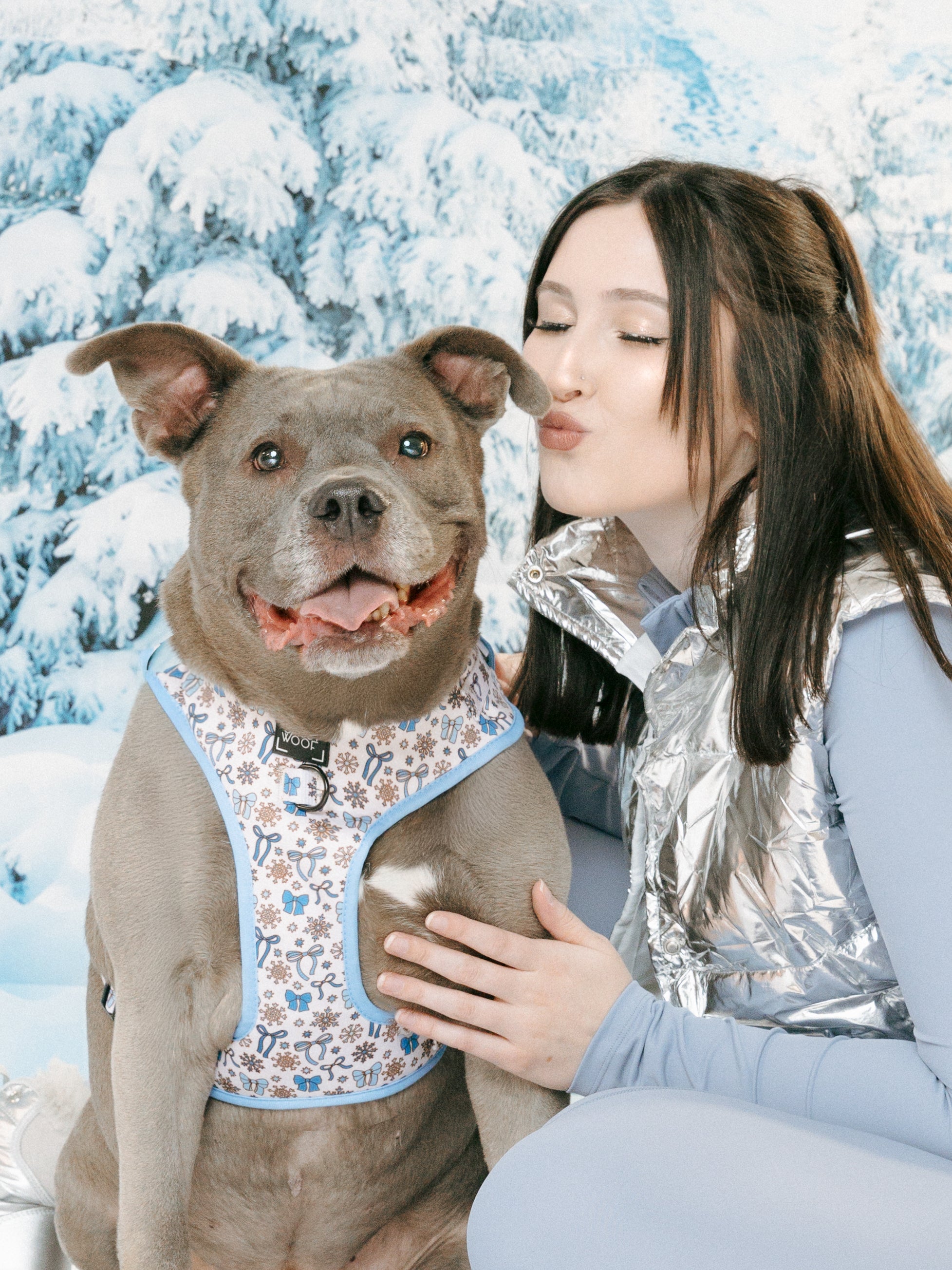 Dog Collar - Let it Bow