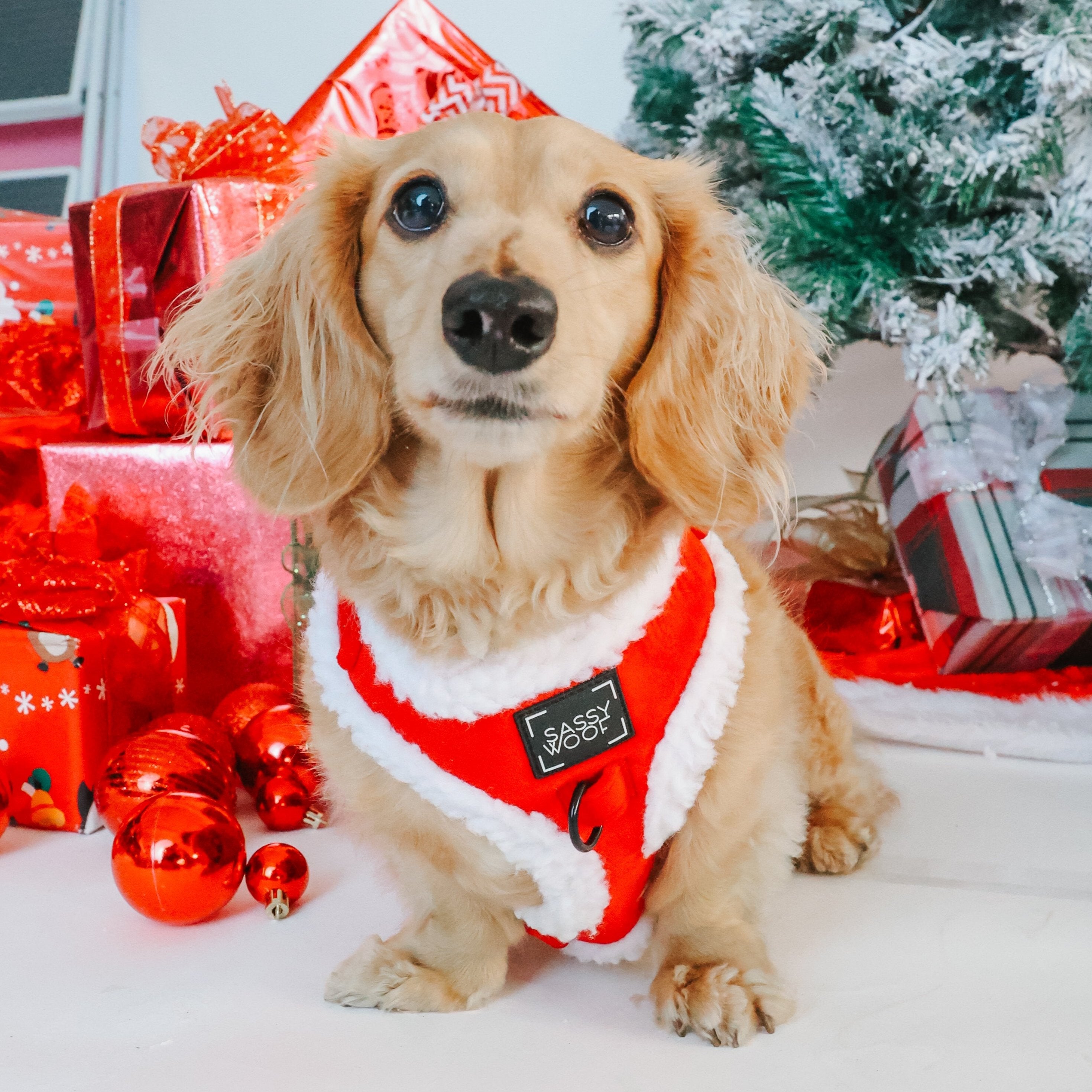 Dog Adjustable Harness - Naughty