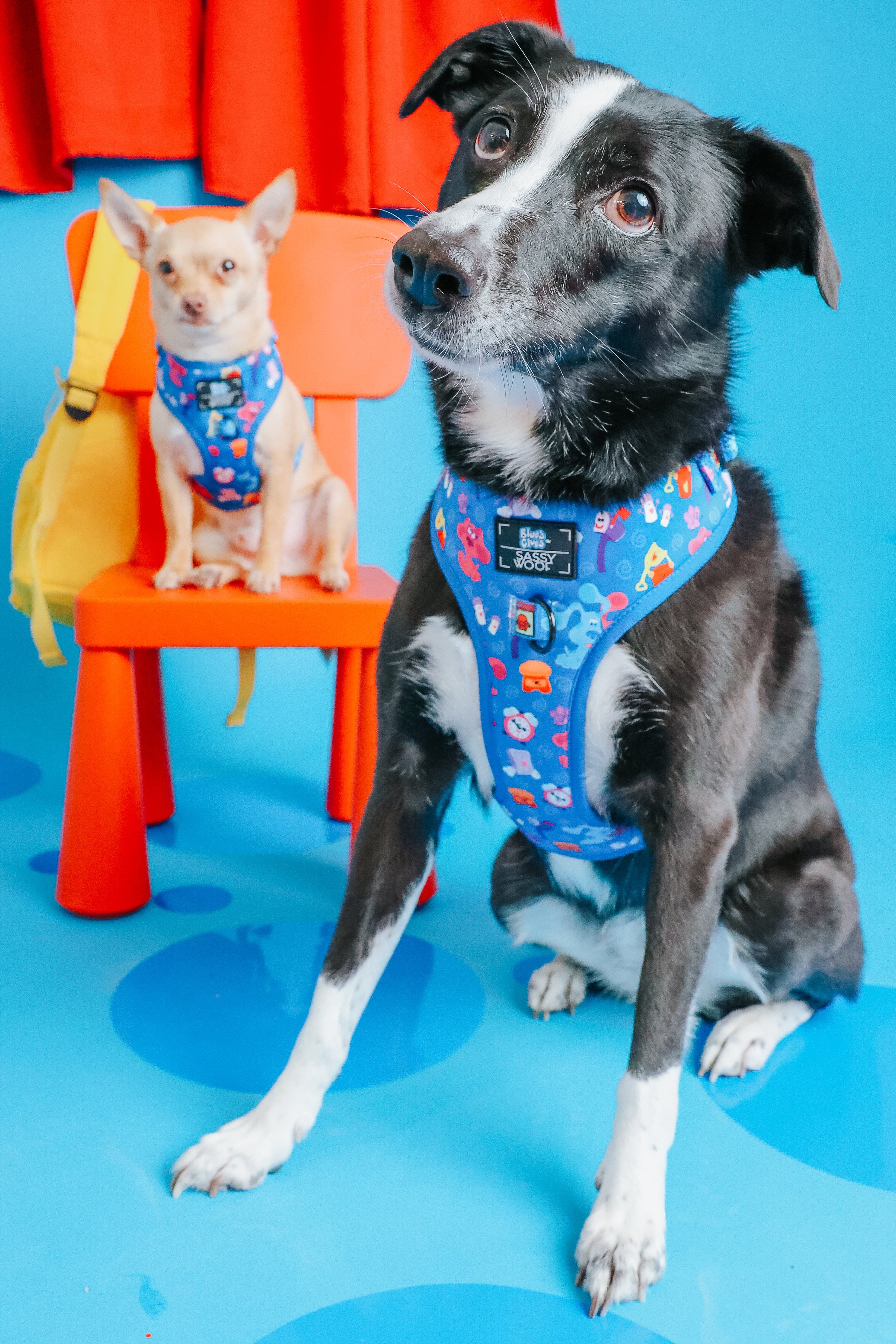 Dog Adjustable Harness - Blues Clues™