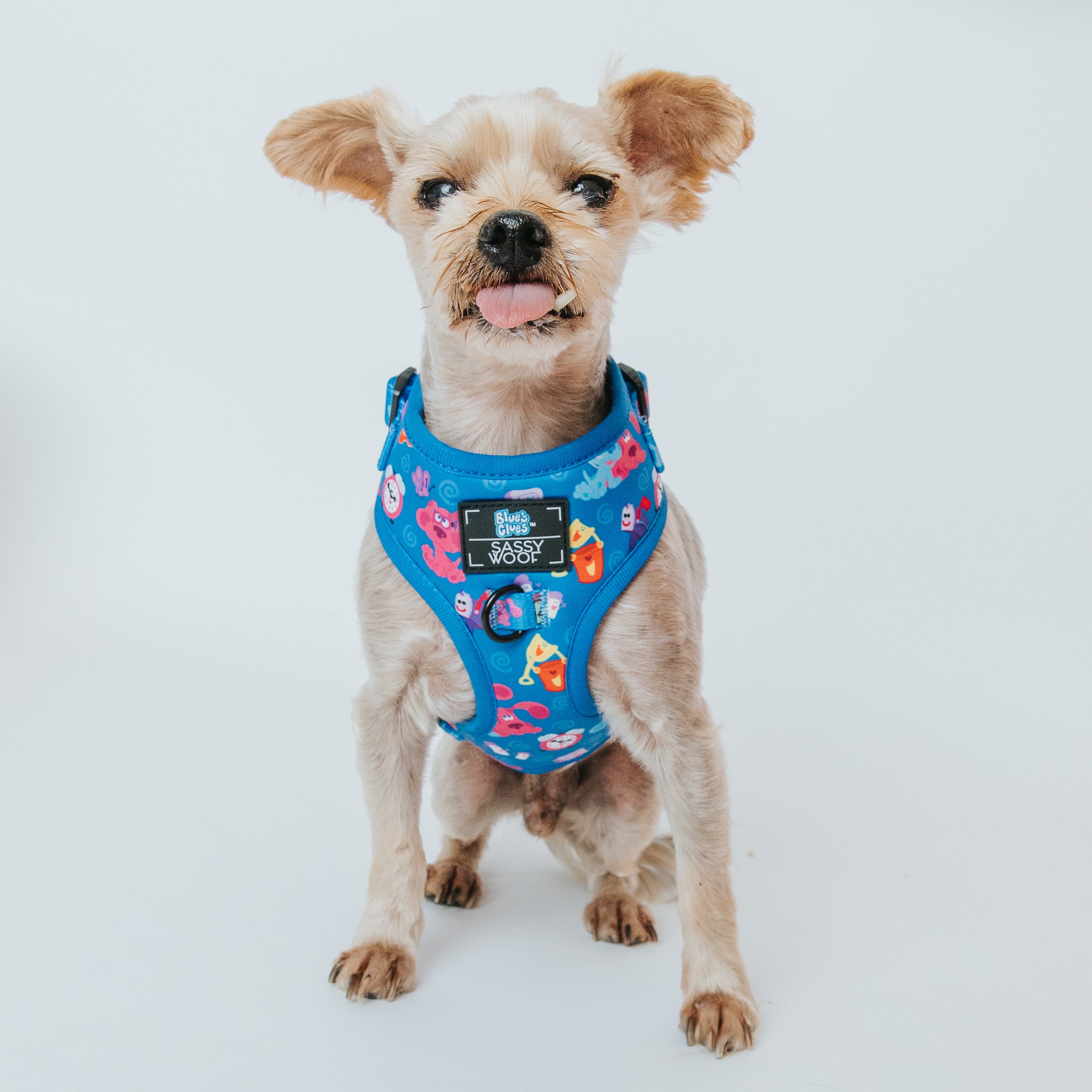 Dog Adjustable Harness - Blues Clues™