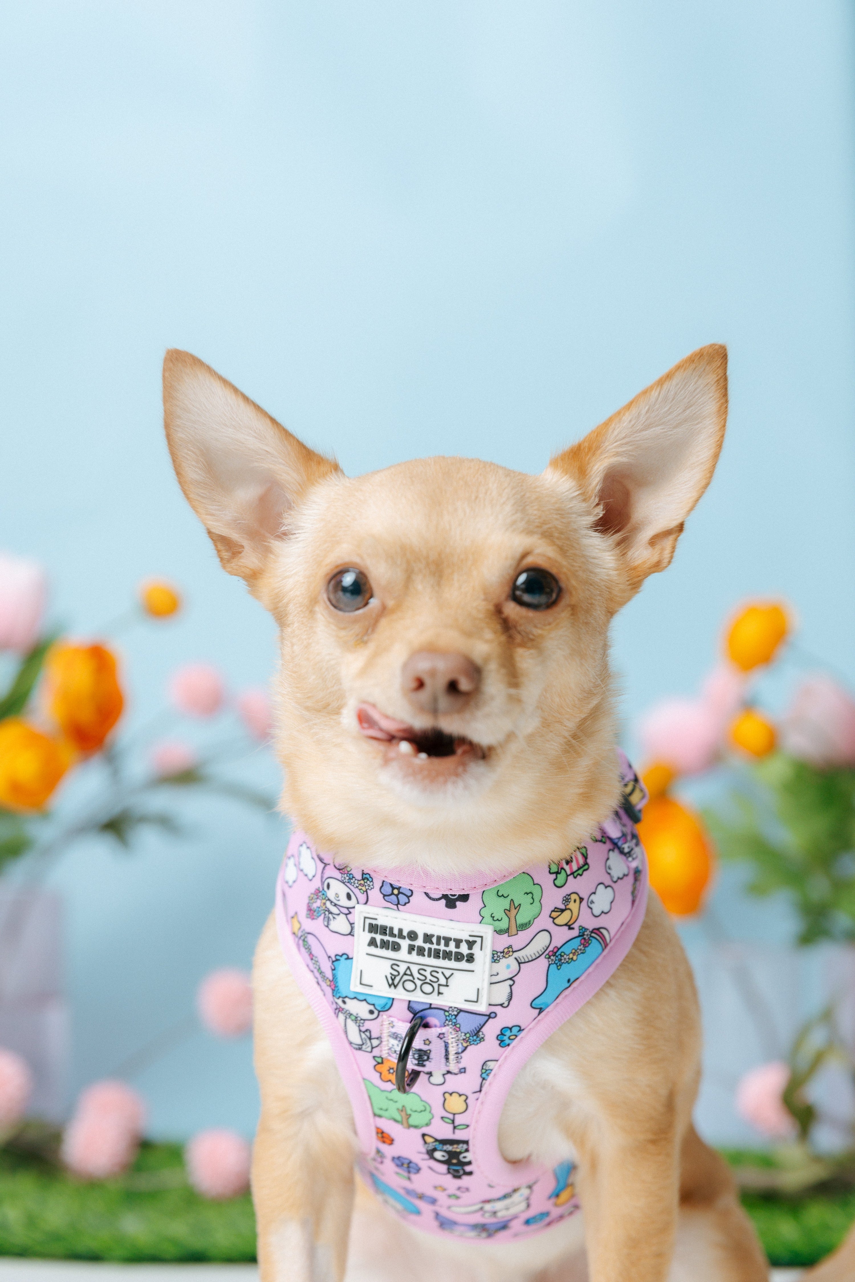 Dog Adjustable Harness - Hello Kitty® & Friends Flower Festival