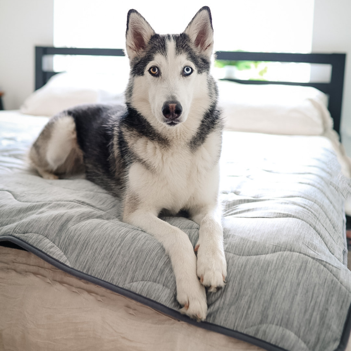 PupChill Cooling Waterproof Blanket Arctic Grey