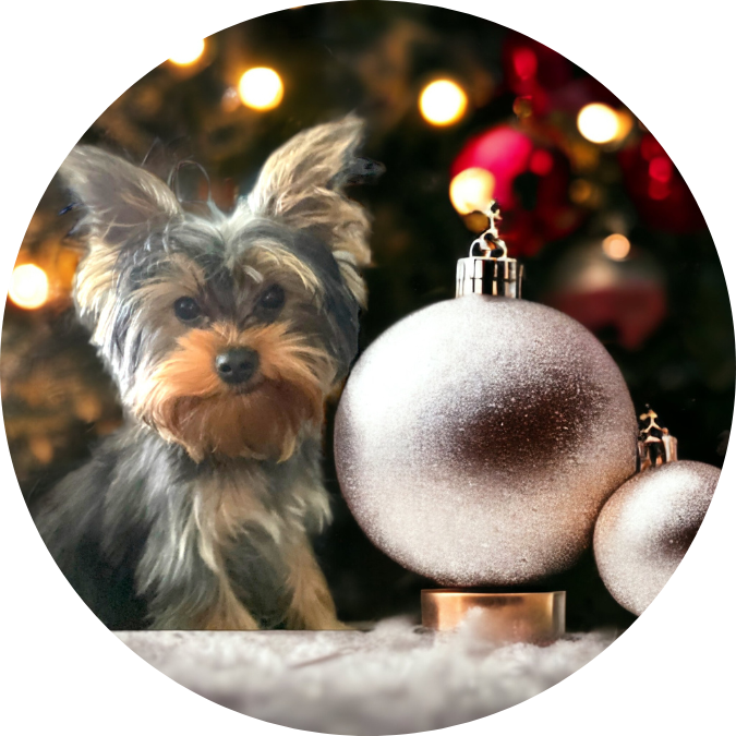 3" Custom Ceramic Ornament - HT Animal Supply