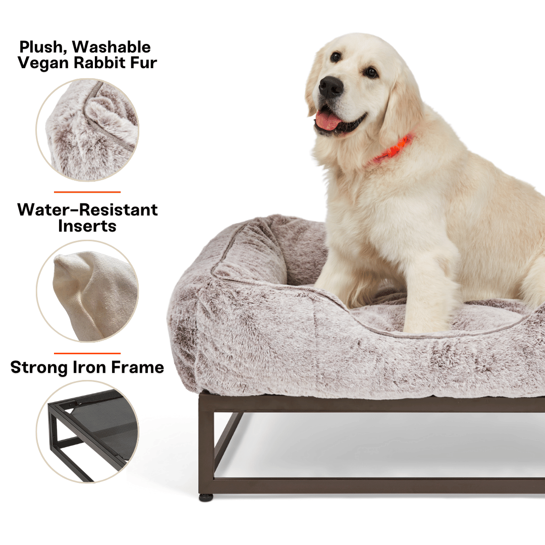 The FUZI Elevated Dog Bed