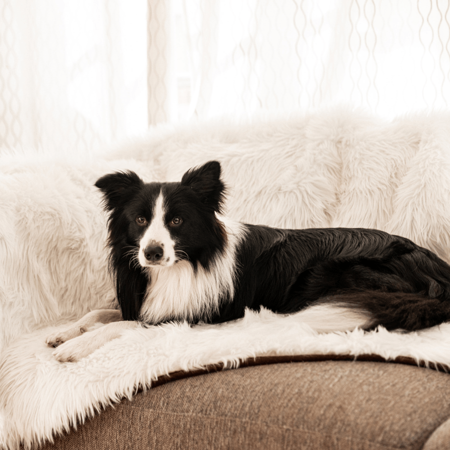 PupProtector Waterproof Throw Blanket Polar White