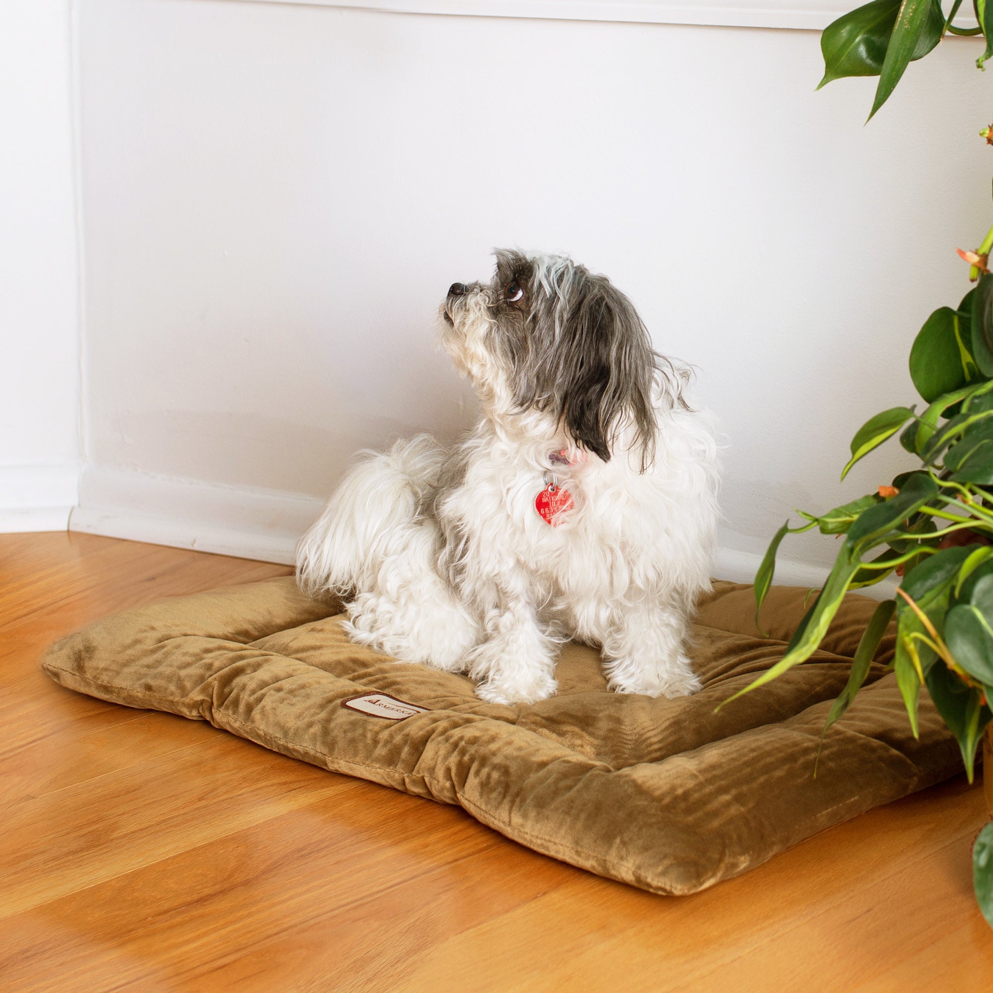 Armarkat M01CHL-M Medium Pet Bed Mat Dog Crate Soft Pad With Poly Fill Cushion Sage Green