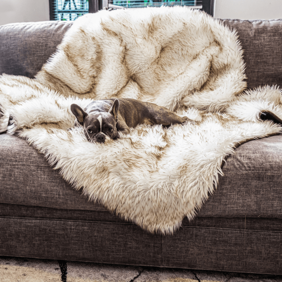 PupProtector Waterproof Throw Blanket White with Brown Accents 