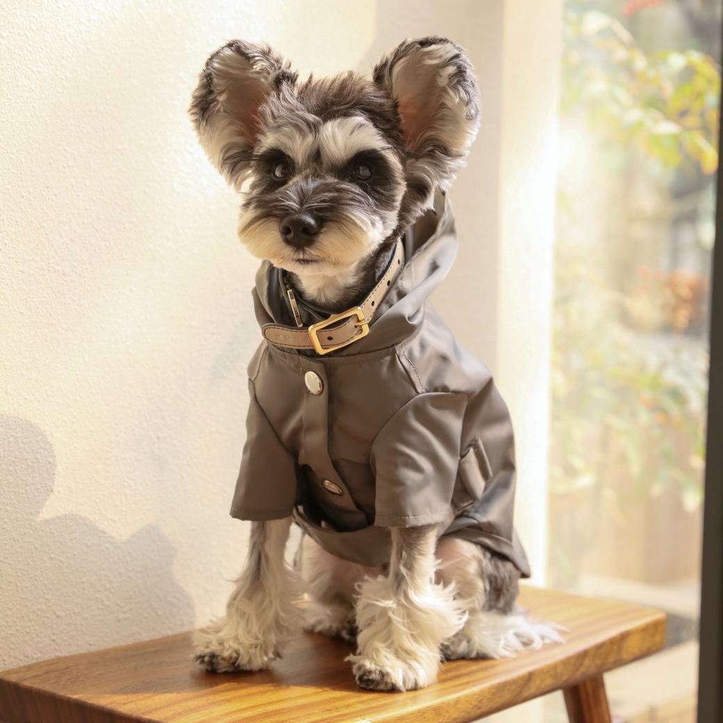 Bowery Raincoat-Gray