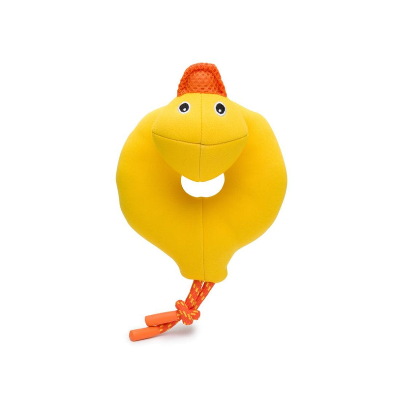 Floatie Duck 