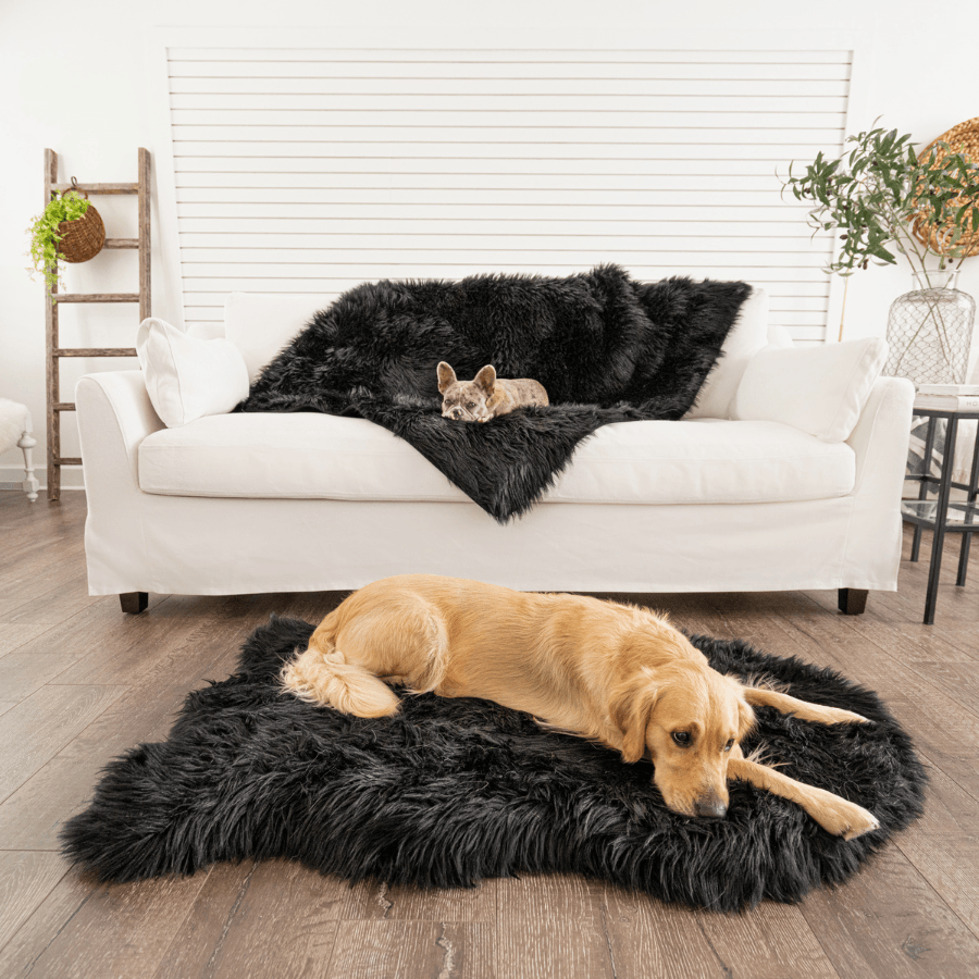 PupProtector™ Waterproof Throw Blanket - Midnight Black | HT Animal Supply