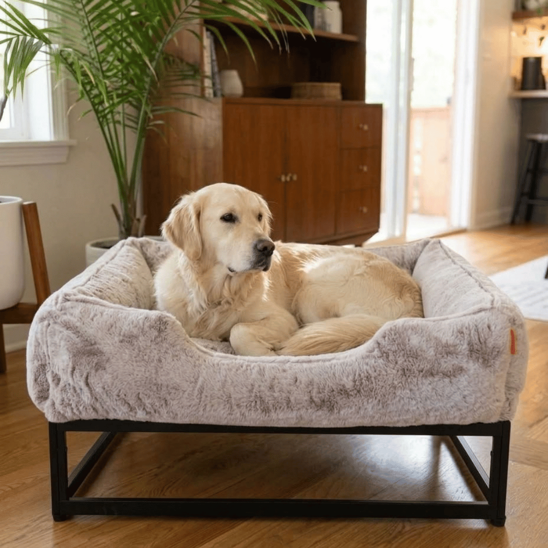 FÜZI Elevated Dog Bed in Truffle with black base, angled view