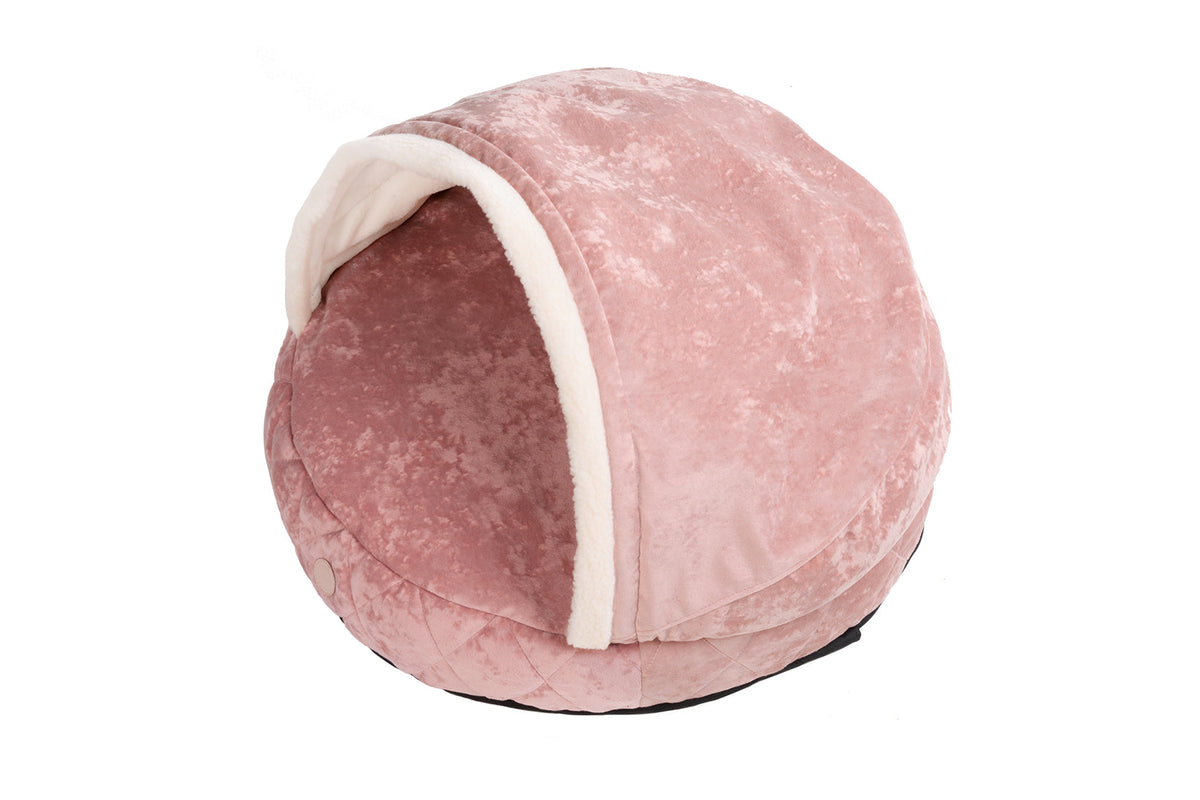 Cover Dog Bed