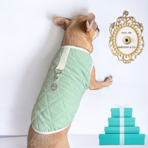 Quilted Sniffany Puff Vest Dog Coat
