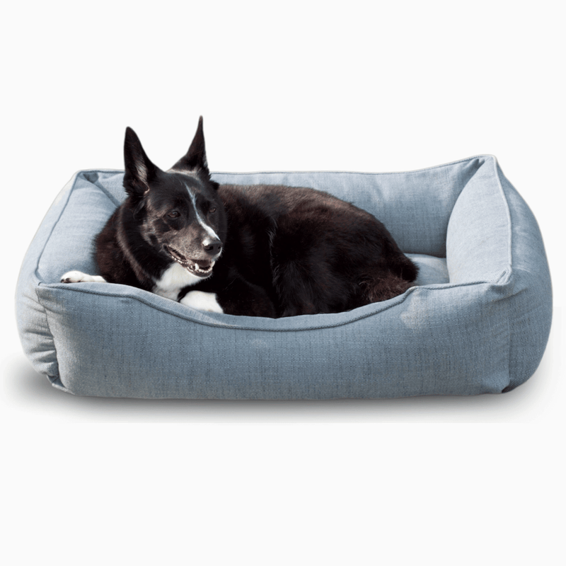 Sammy Dog Bed Cover in Mist Blue performance fabric, front view