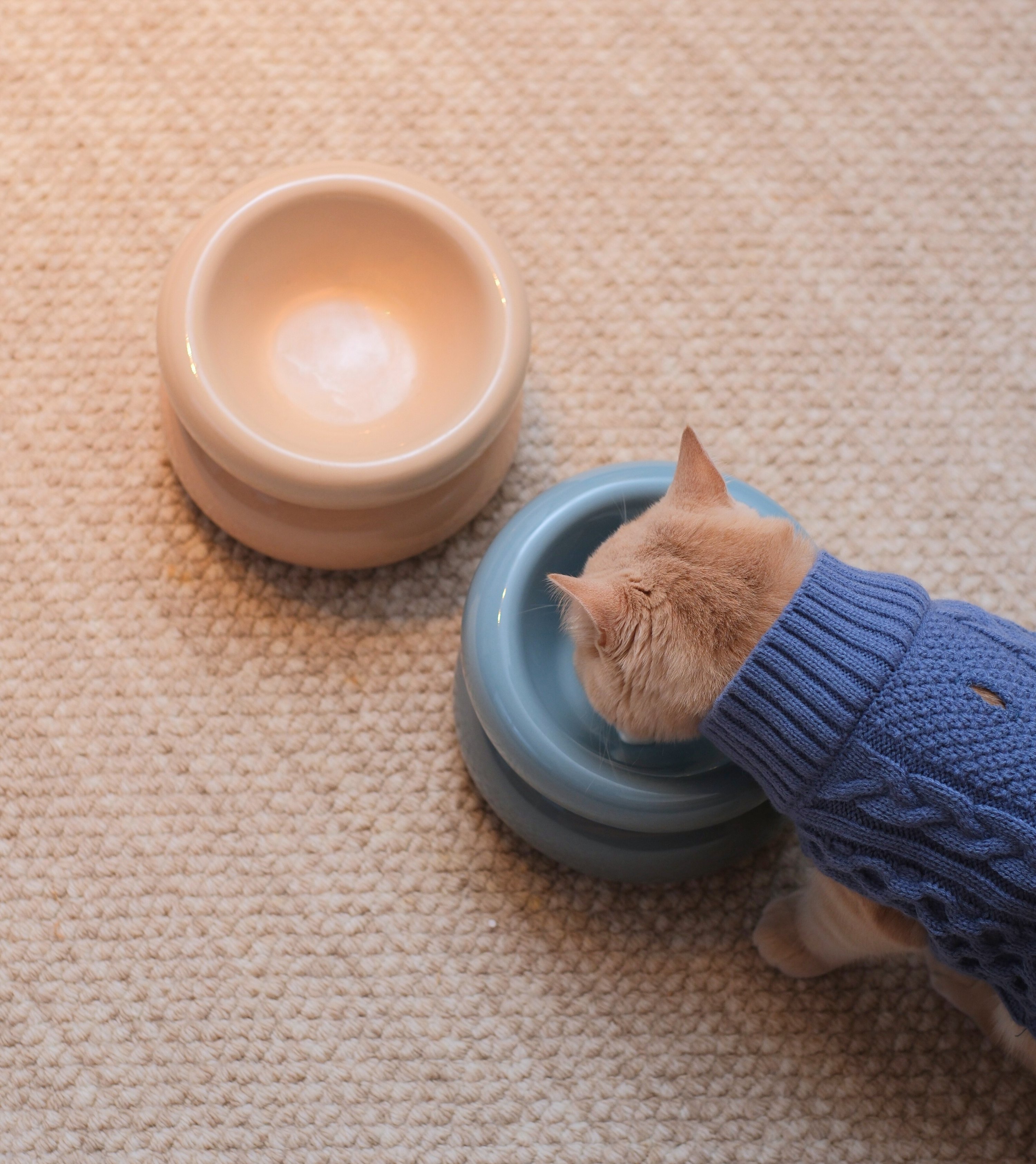 Souffle Pet Bowl-Cream Beige