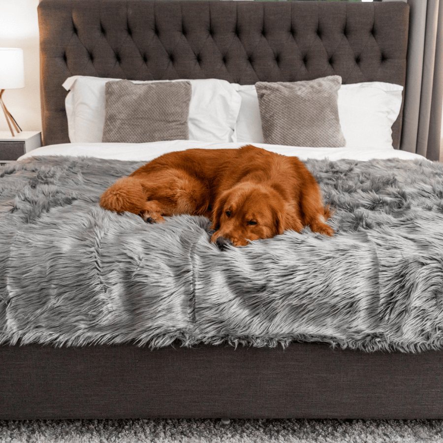 PupProtector Waterproof Throw Blanket Charcoal Grey
