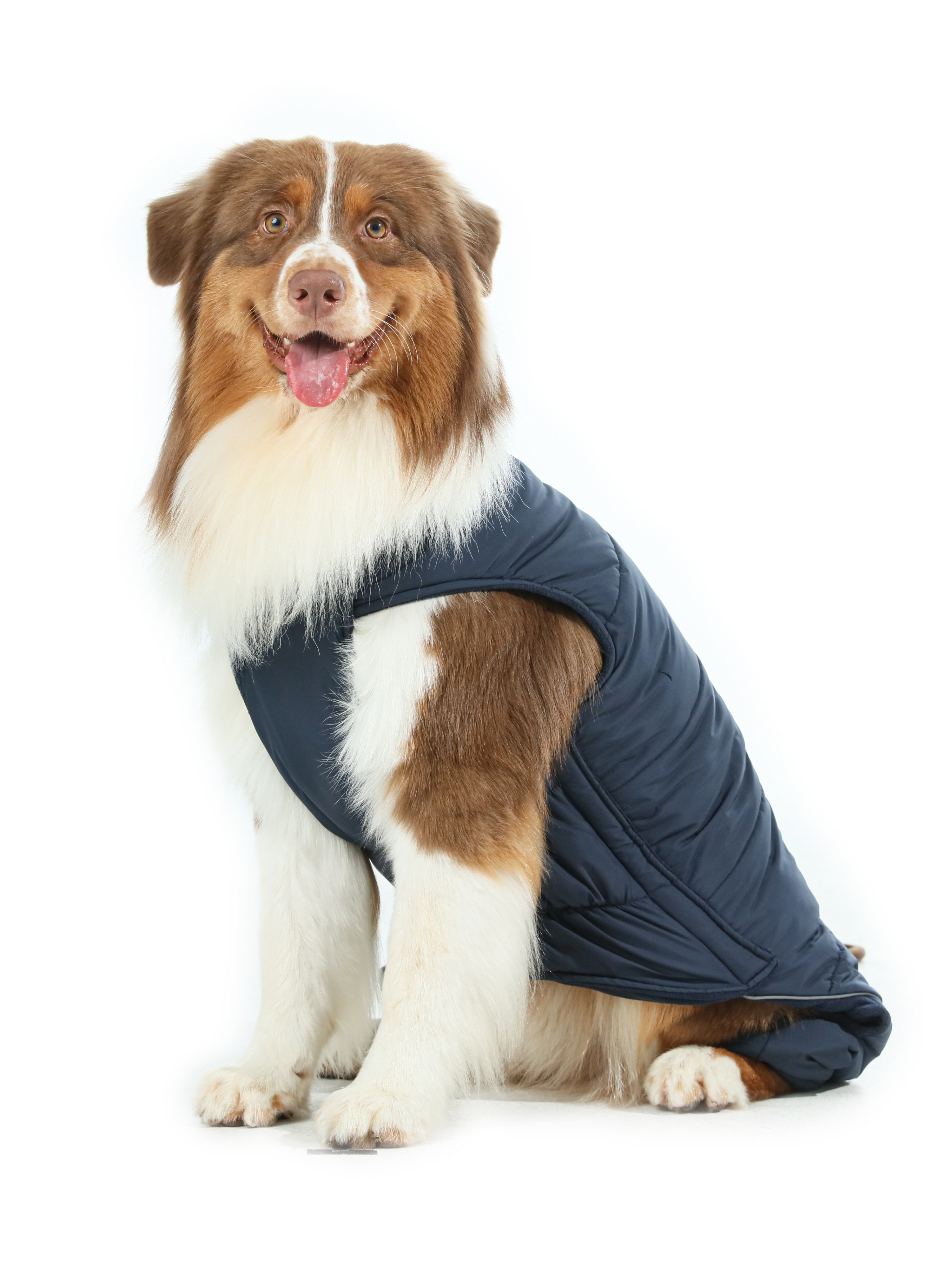 Reversible Dog Vest Jacket-Blue