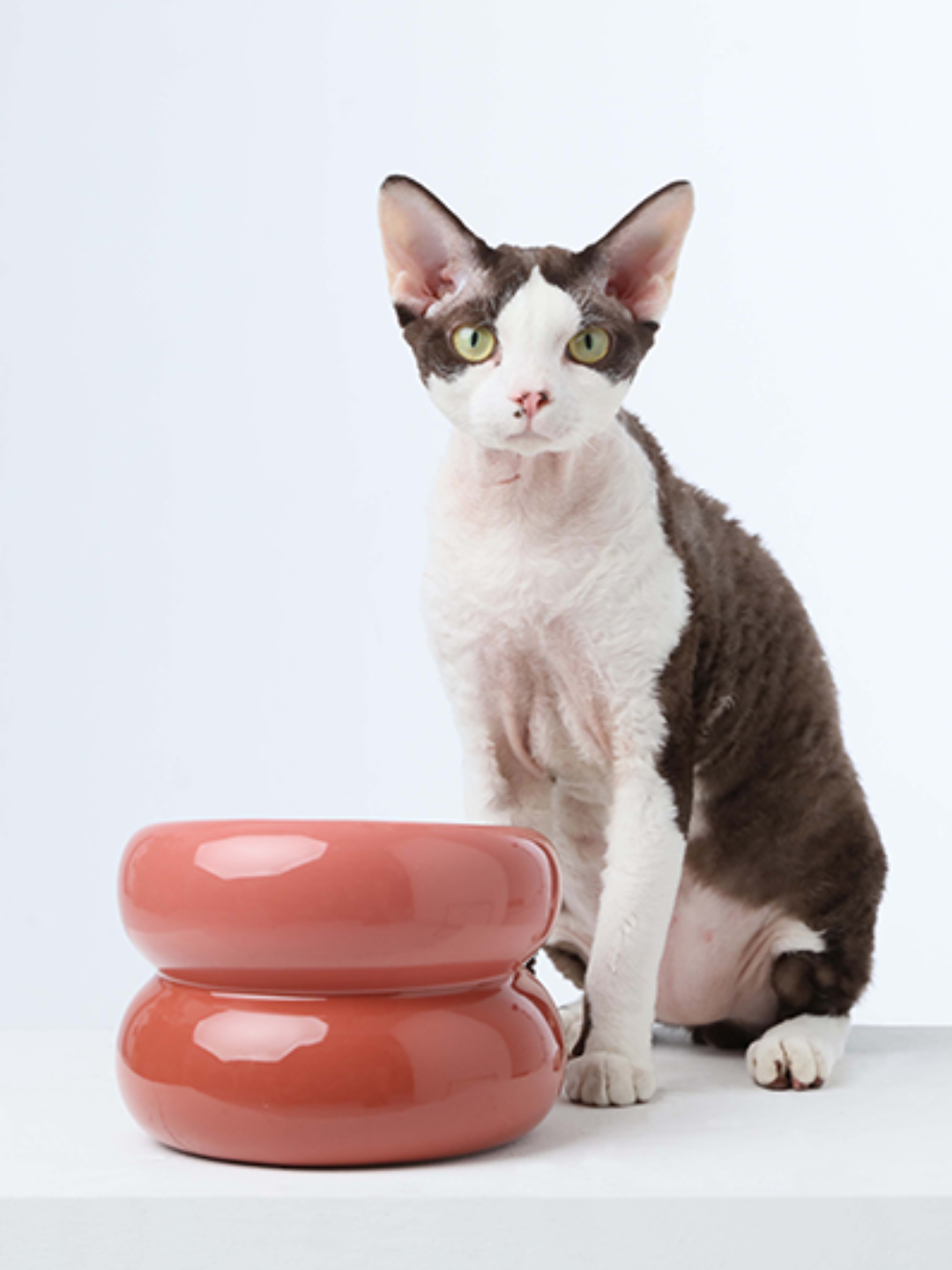 Souffle Pet Bowl-Rose Pink