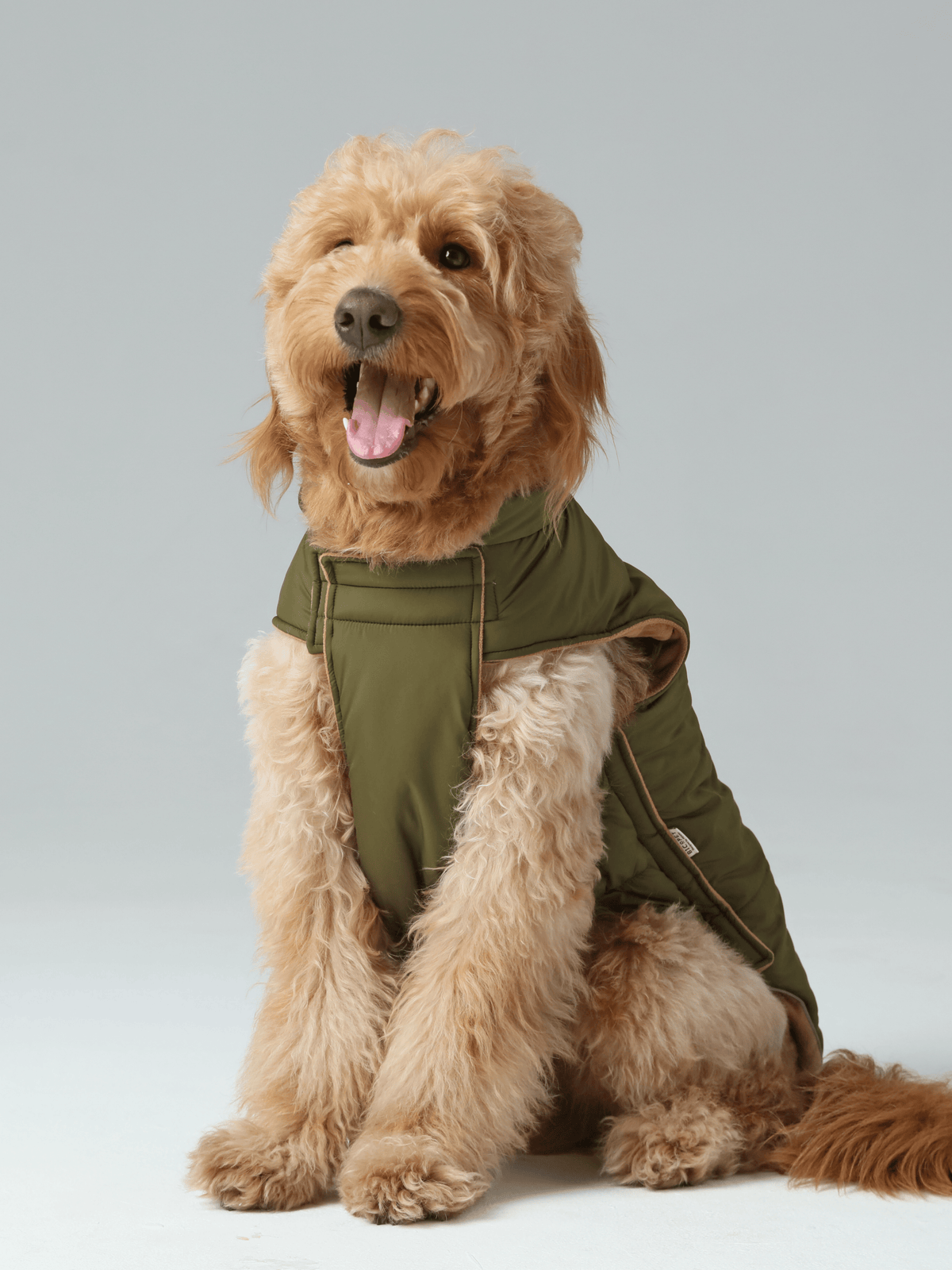 Reversible Dog Vest Jacket-Green Brown