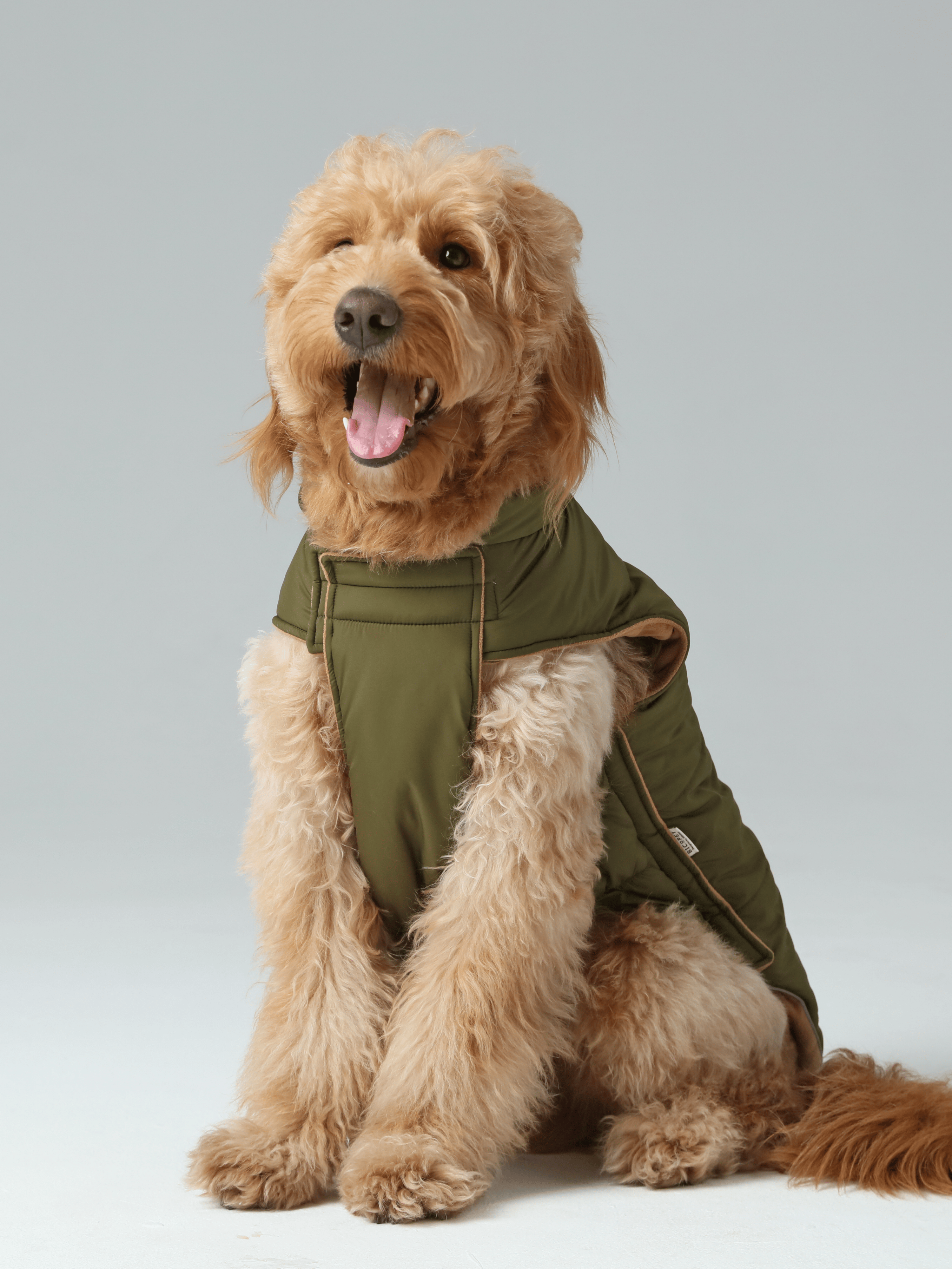 Reversible Dog Vest Jacket-Green Brown