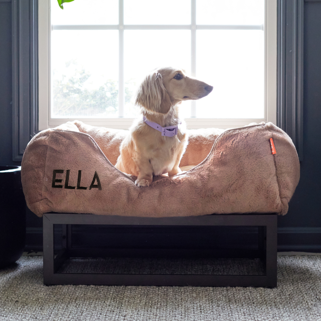 The FUZI Elevated Dog Bed