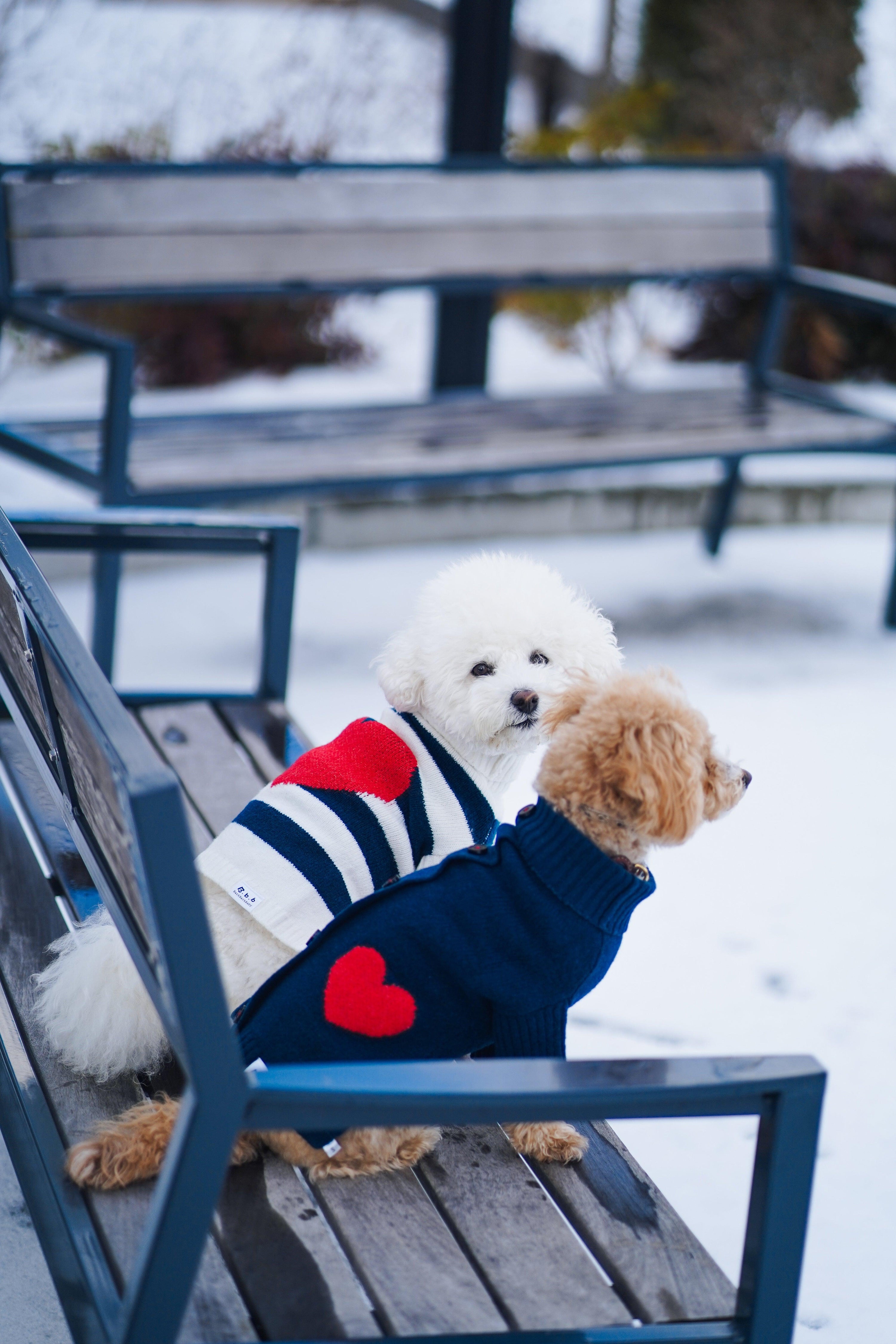 Sailor of My Heart Striped Turtleneck Sweater - HT Animal Supply