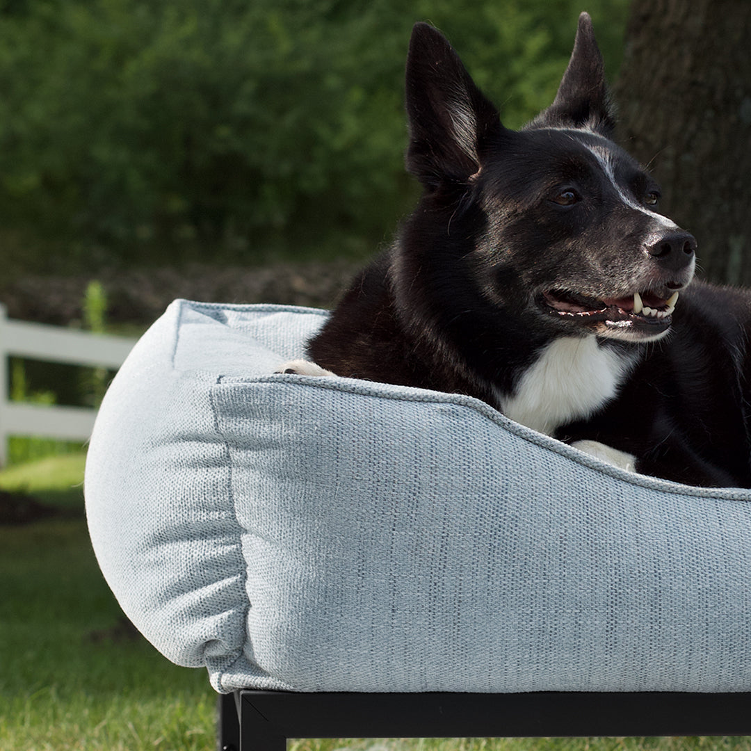 The FUZI Elevated Dog Bed