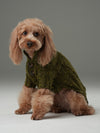 Glacier Pet Sweater-Olive Green