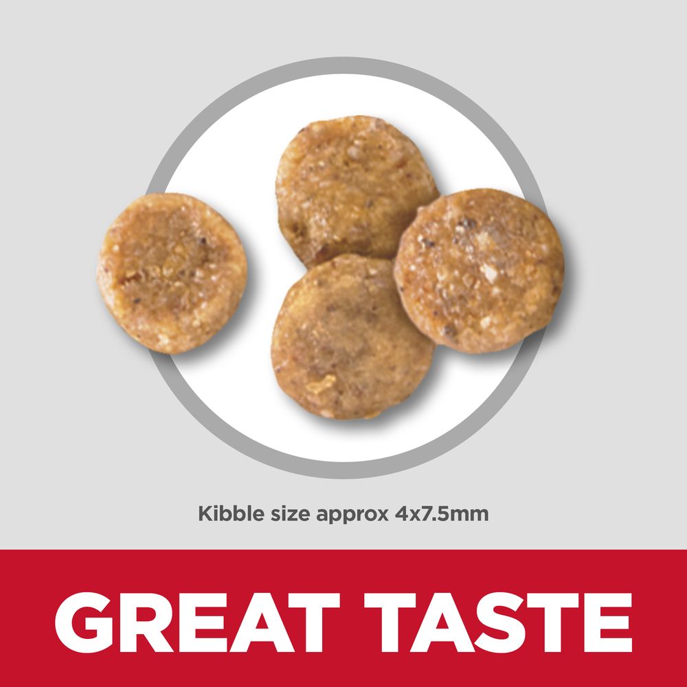 Hills Science Diet Adult Sensitive Stomach & Skin Small & Mini Chicken Recipe Dry Dog Food Bag