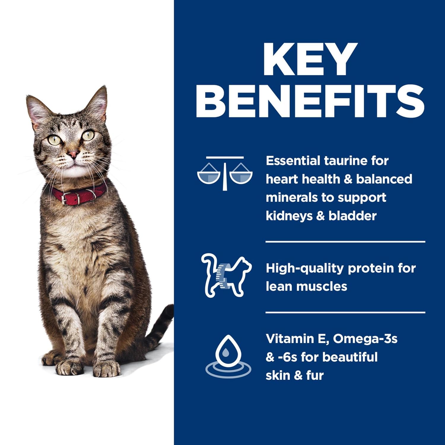 Hills Science Diet Adult Chicken Recipe Dry Cat Food Bag (4lb)