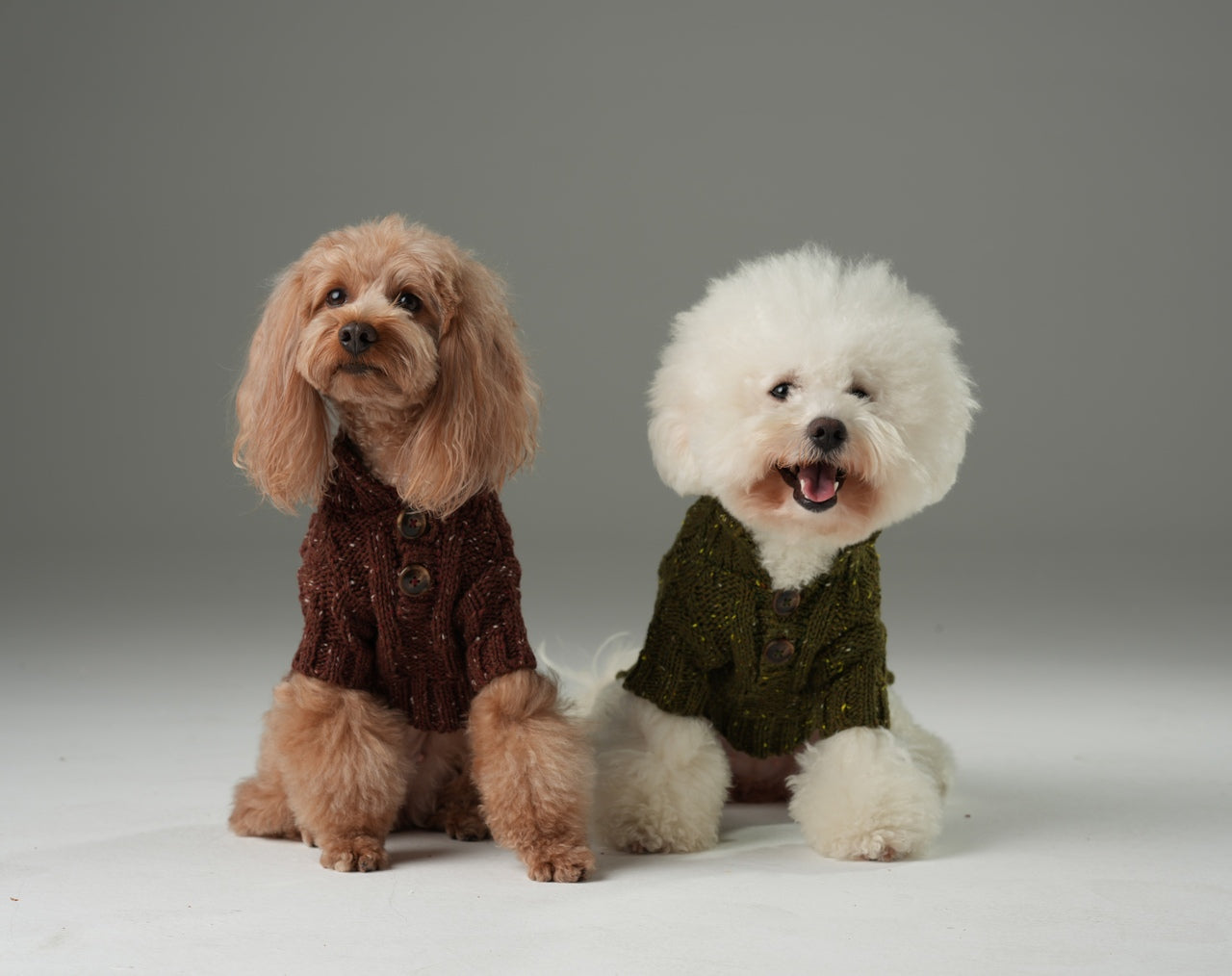 Glacier Pet Sweater-Burgundy