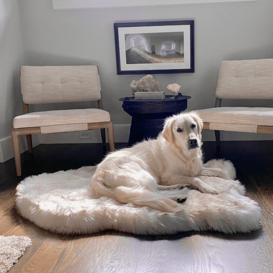Puprug Faux Fur Orthopedic Dog Bed Curve White with Brown Accents 