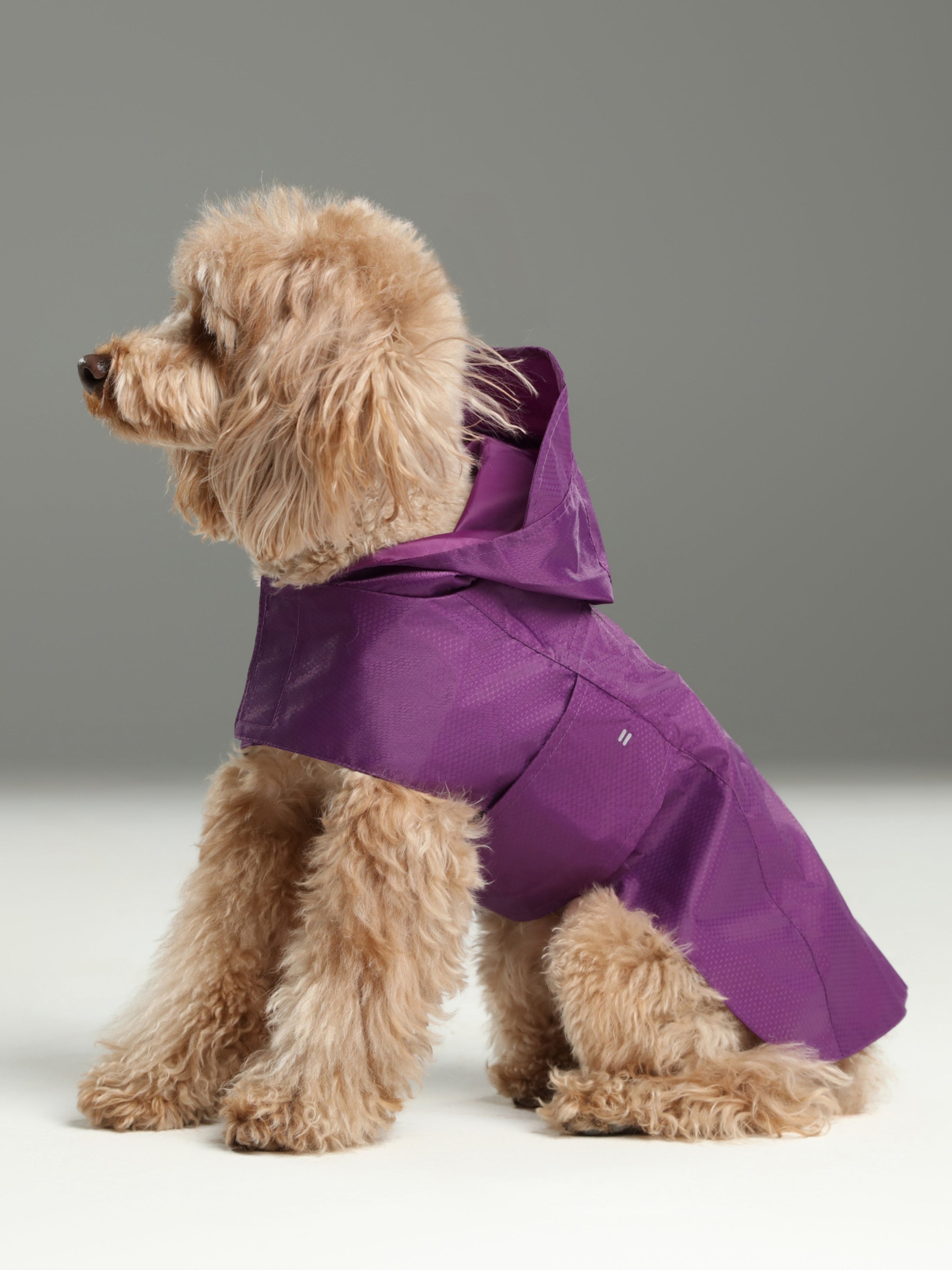 Capsule Raincoat-Purple