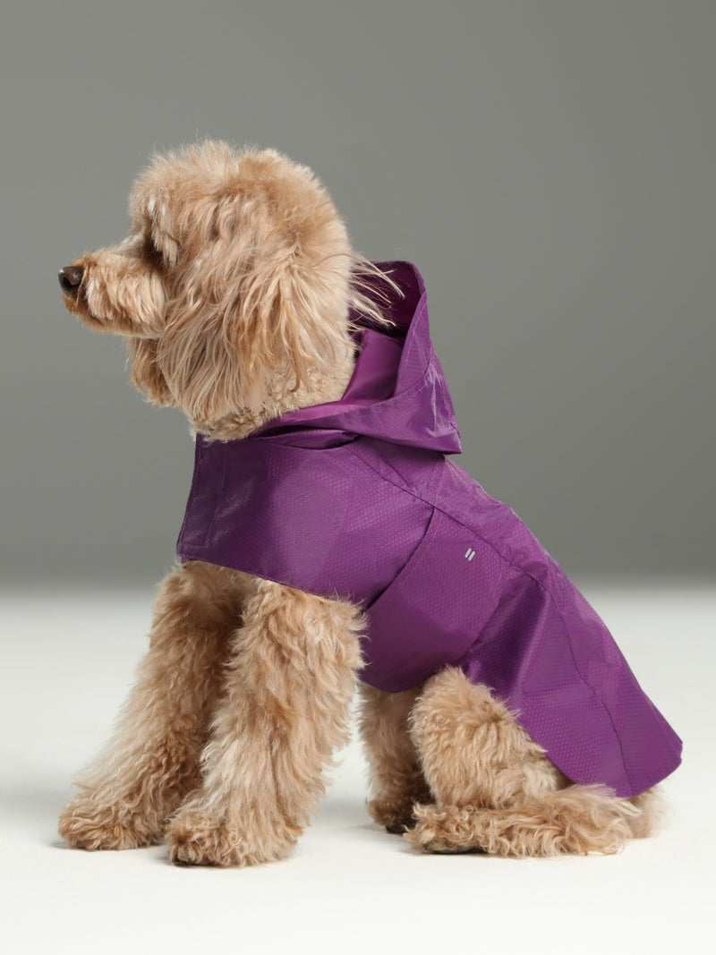 Capsule Raincoat-Purple