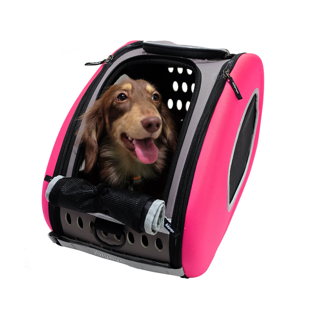 5-in-1 Combo EVA  Pet Carrier/Stroller (Luxury package)